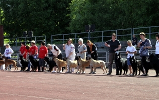 BIS1 Breeder Lohja 050611